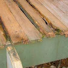 How To Keep Untreated Wood From Rotting