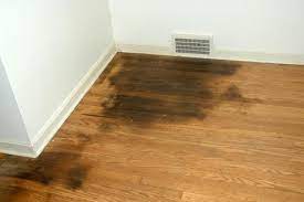 How to Remove Black Urine Stains from Hardwood Floors