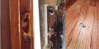 How to Fill Cracks in Wood Before Painting