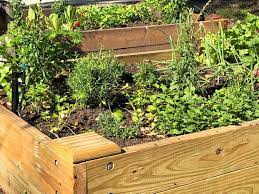 Is Pressure Treated Wood Safe For Vegetable Gardens