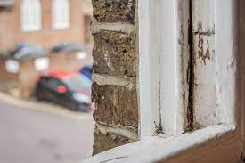 Will Bleach Stop Wood Rot