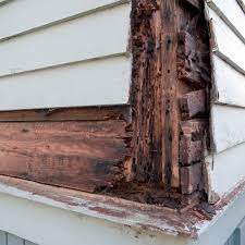 How To Repair Rotting Wood Without Replacing It