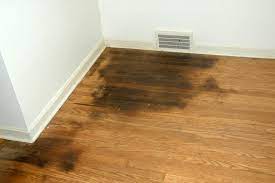 How To Get Rid Of Human Urine Smell On Hardwood Floors