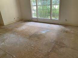How To Treat Plywood Subfloor For Urine Before New Carpet